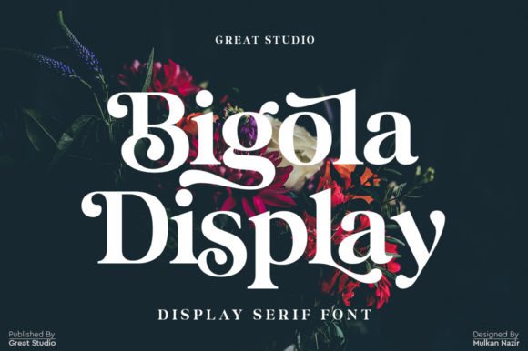 Bigola Display Font: Bold Lettered Type for Branding