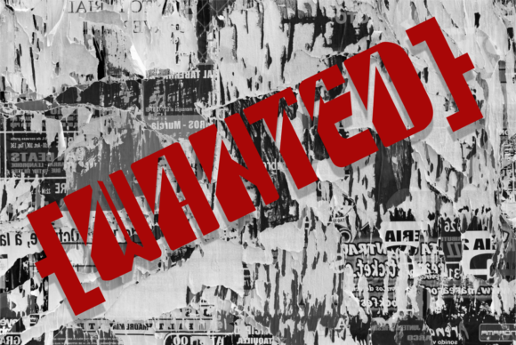 Wanted Font: A Bold, Modern Display Typeface for Standout Branding
